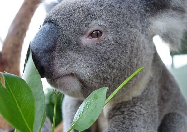 People are Judging You in These One Hundred Ways